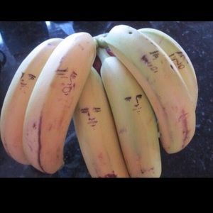 Meet your Posher, Jayden